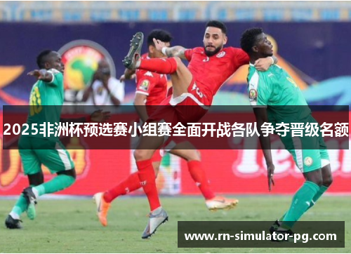 2025非洲杯预选赛小组赛全面开战各队争夺晋级名额