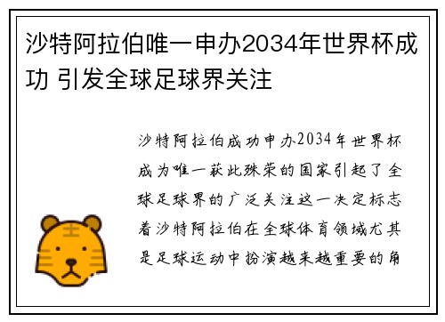 沙特阿拉伯唯一申办2034年世界杯成功 引发全球足球界关注 沙特阿拉伯唯一申办2034年世界杯成功 引发全球足球界关注